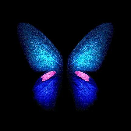 Angel Wings Photo for WhatsApp Profile