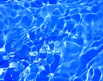Download Pool Water Texture