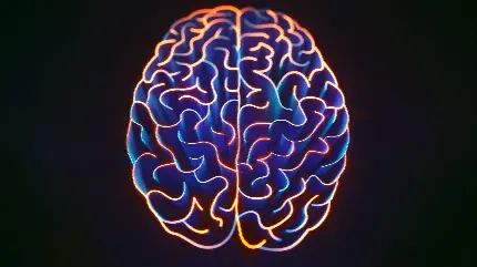Quality human brain wallpaper 4K