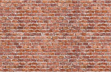 Brick wall material in decoration for vray 3dmax