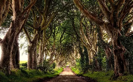 Beautiful nature wallpaper of Ireland