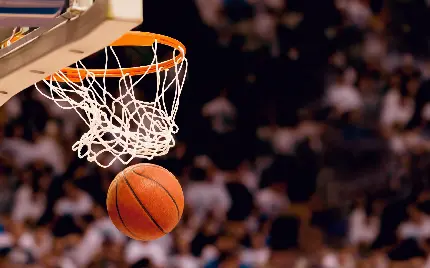 full hd basketball tour photo for profile