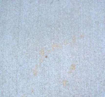 Free download of concrete materials with textures