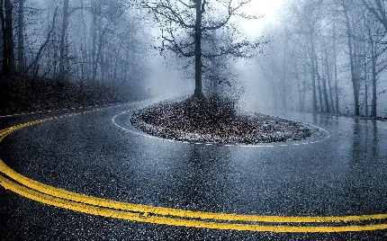 High Quality Rainy Road Photo in the North