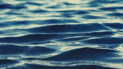 Download Photoshop Texture and High Quality Dark Water Texture