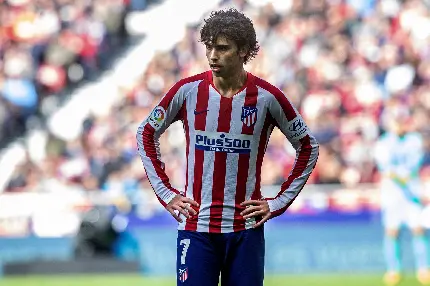 Joao Felix poster