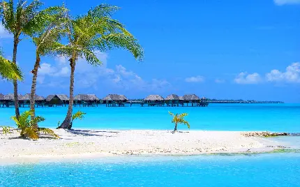 Caribbean Sea Photo Wallpaper for Windows