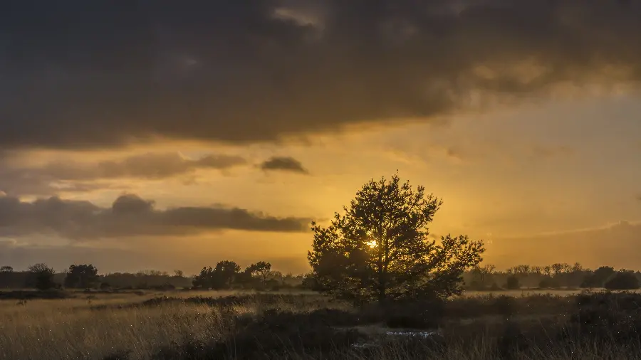 Soothing Background of Cloudy Sunset Sky Suitable for Tablets