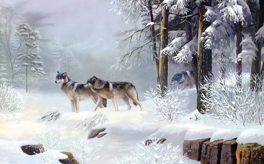 Interesting drawing of two wolves in a mysterious snowy nature 