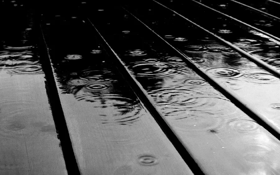 Artistic and special view of beautiful raindrops with a black and white halo
