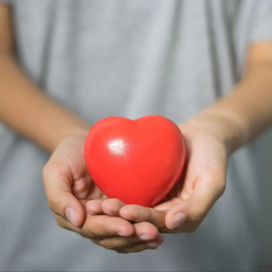 Download Free Stylish Image of Big Red Heart in Hand for Windows Background 