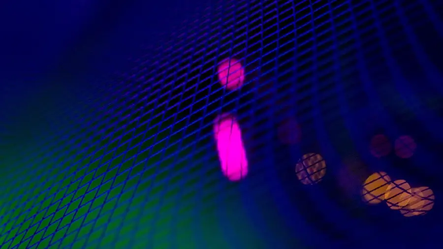Download image Light Blue Lace Stock with Pink Blur for 4K Wallpaper