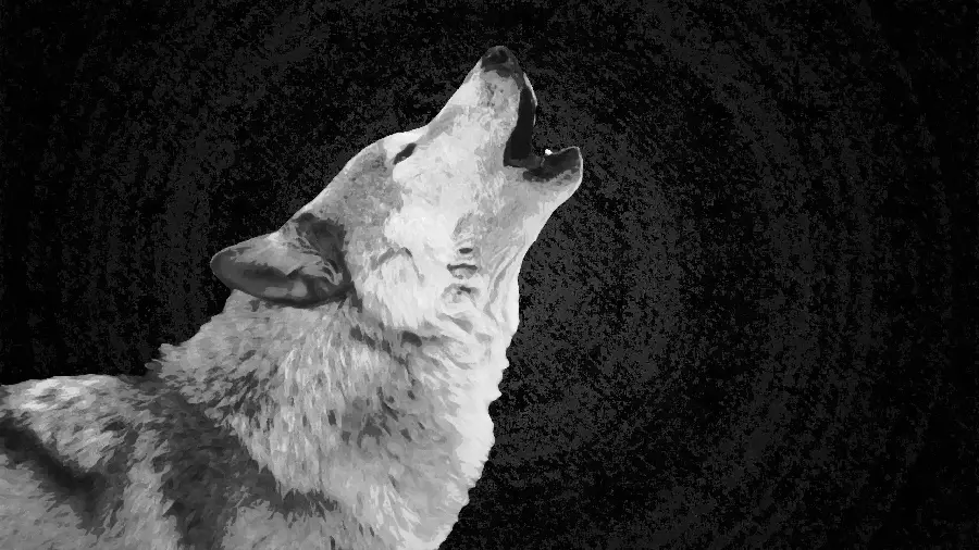 A template for a white wolf design with brilliant and exceptional details 
