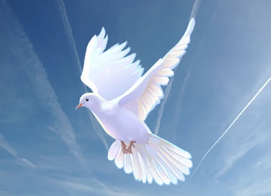 Fantasy image of white dove in the blue sky with thin clouds