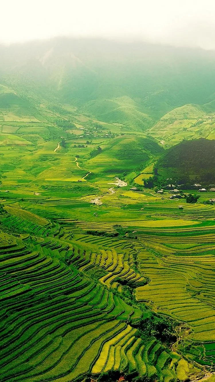 The most beautiful aerial photo of green nature for profile 