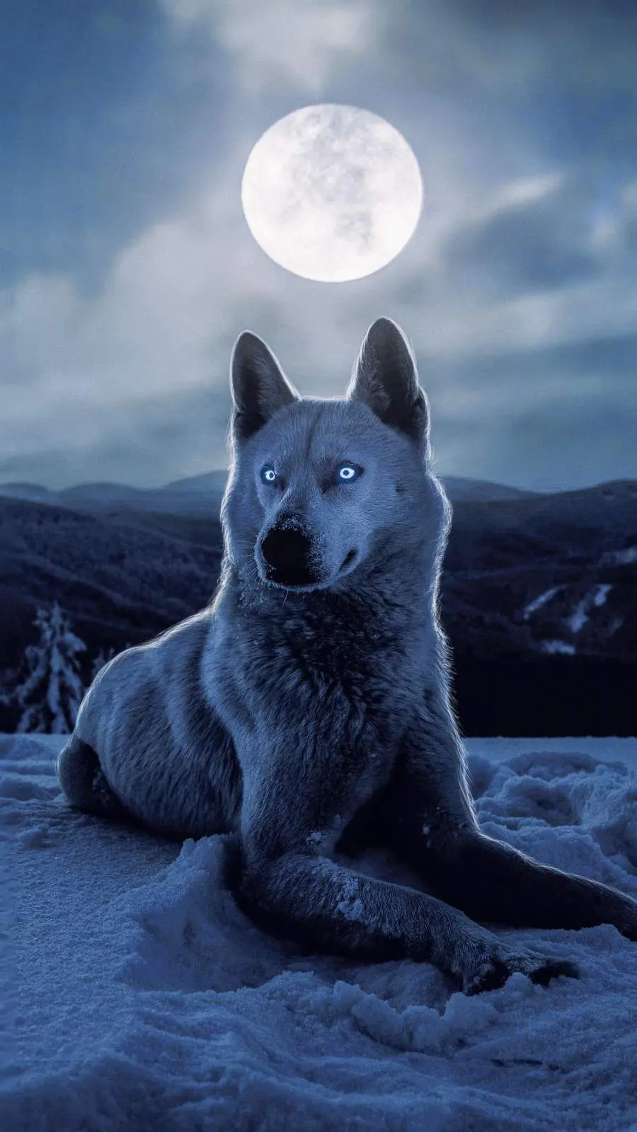 Free download of a very high-quality photo of a wolf and the moon