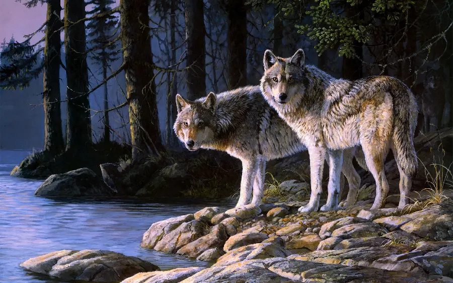 The most beautiful laptop wallpaper of two attractive painted wolves