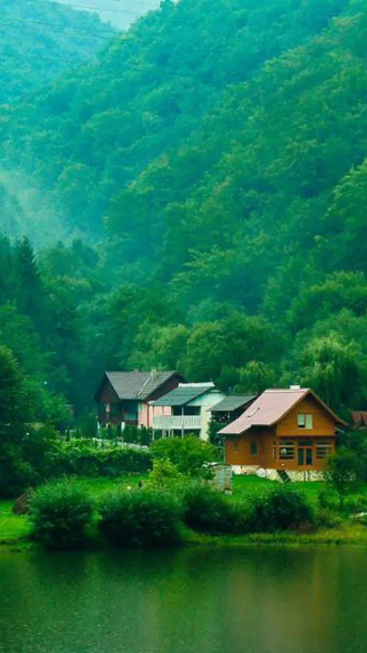 Pleasant view of a wooden hut in a green forest for mobile background 