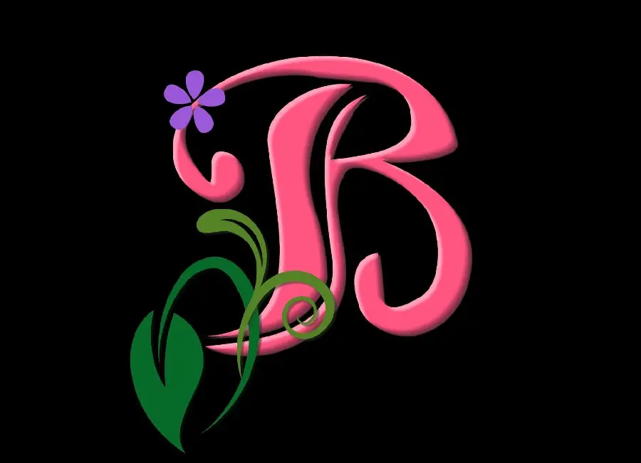 English capital letter B graphic profile with the best quality