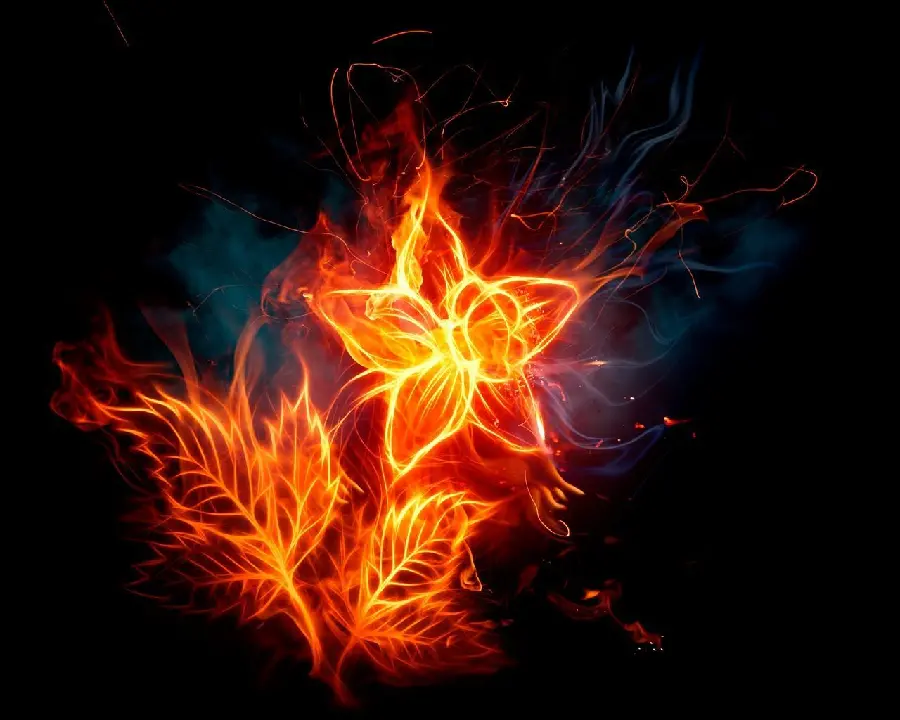 Hot fire photo in the shape of a flower suitable for WhatsApp profile 