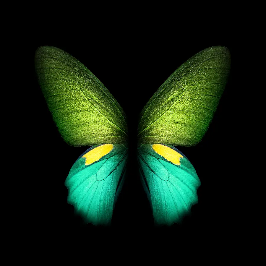 The most famous Full HD green butterfly wallpaper for Galaxy Z Fold