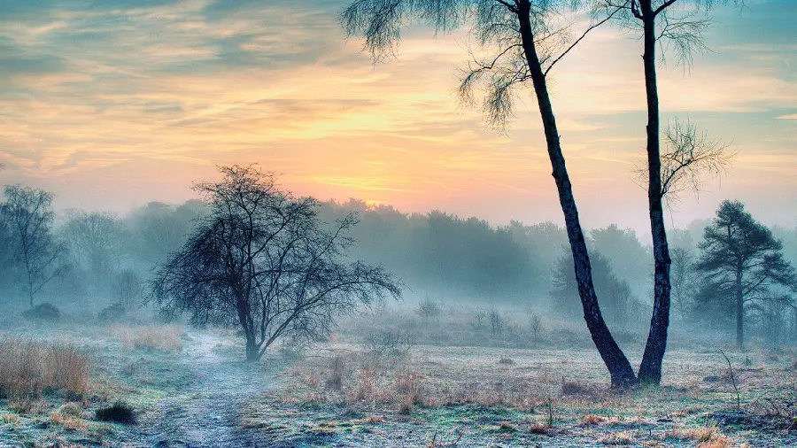 Impressive stock photo of cold Siberian nature in HD quality 