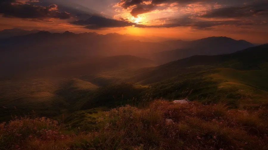 Magical and dark image of nature for Windows 11 background