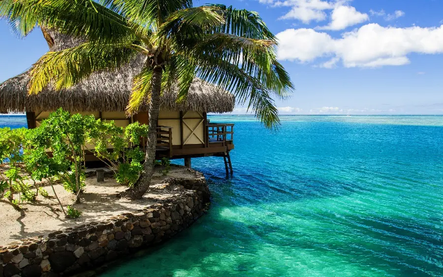 Unique background of a beach house in the water, a sunny villa with a shady tree around it
