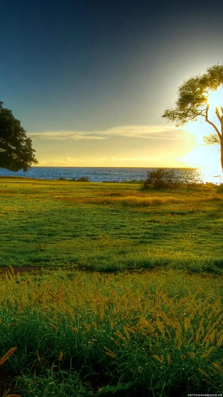 The hottest nature stock photo with a dreamy lawn design 