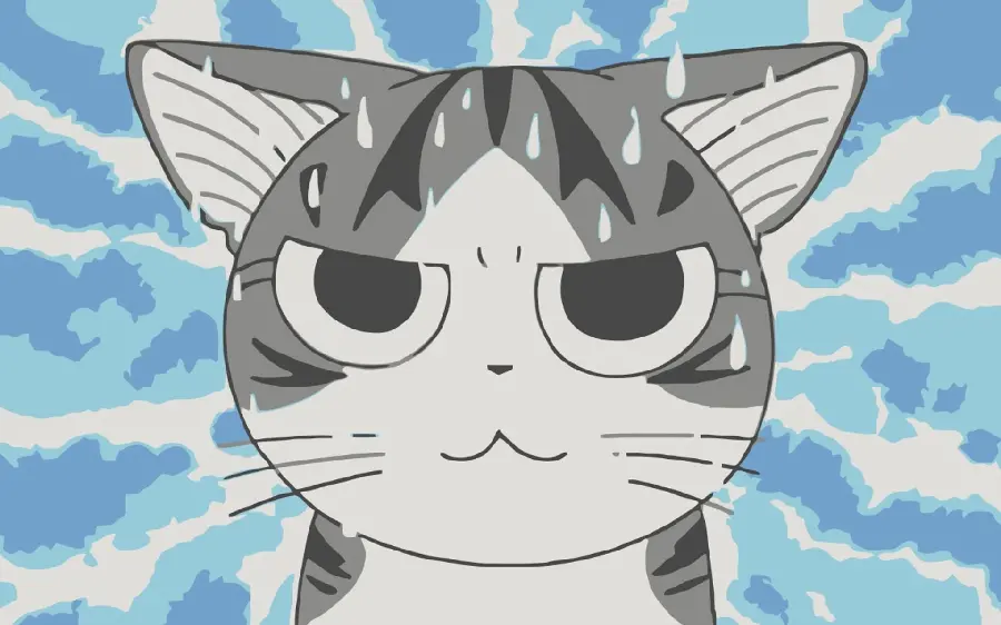 Download a funny angry cat profile picture for WhatsApp 