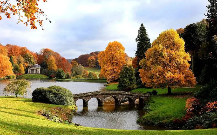 Beautiful green and beautiful nature and landscape wallpaper for desktop