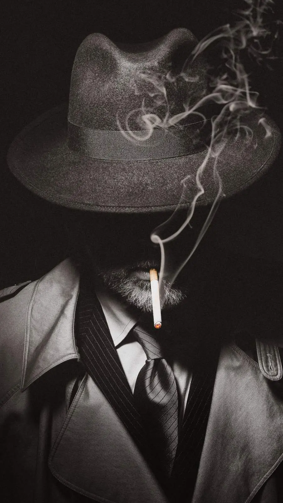 Super Luxury Background of Cigarettes in Full HD Quality 