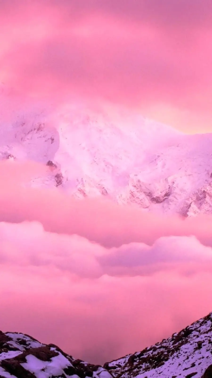 Cool pink stock photos for iPhone and Android phone backgrounds
