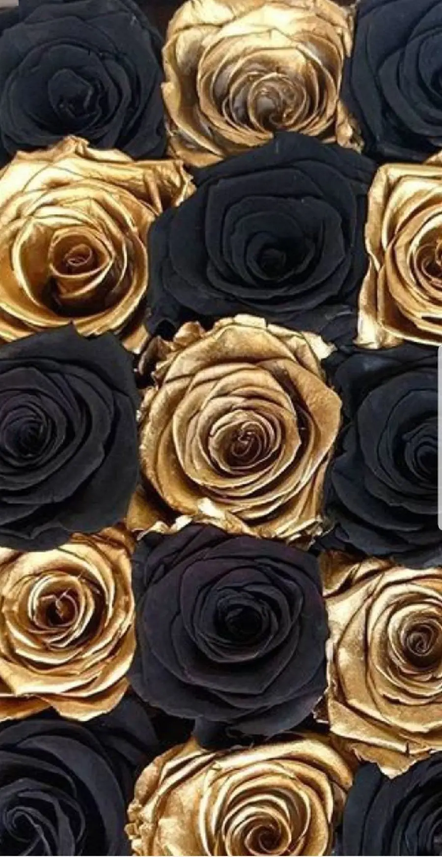 A trendy fantasy poster with a special arrangement of golden and black roses