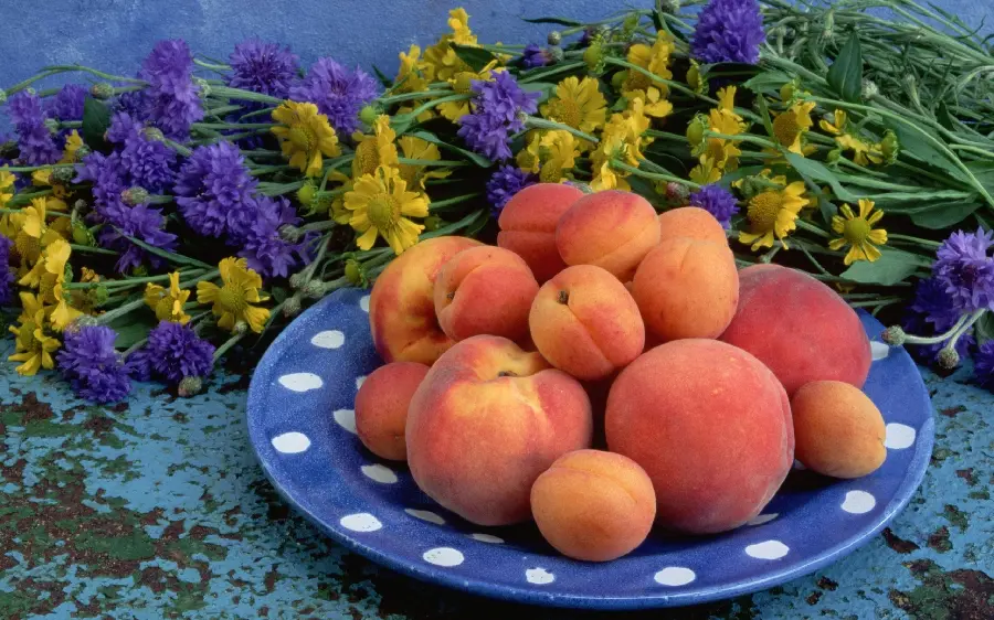 Stunning peach photo that will melt your heart