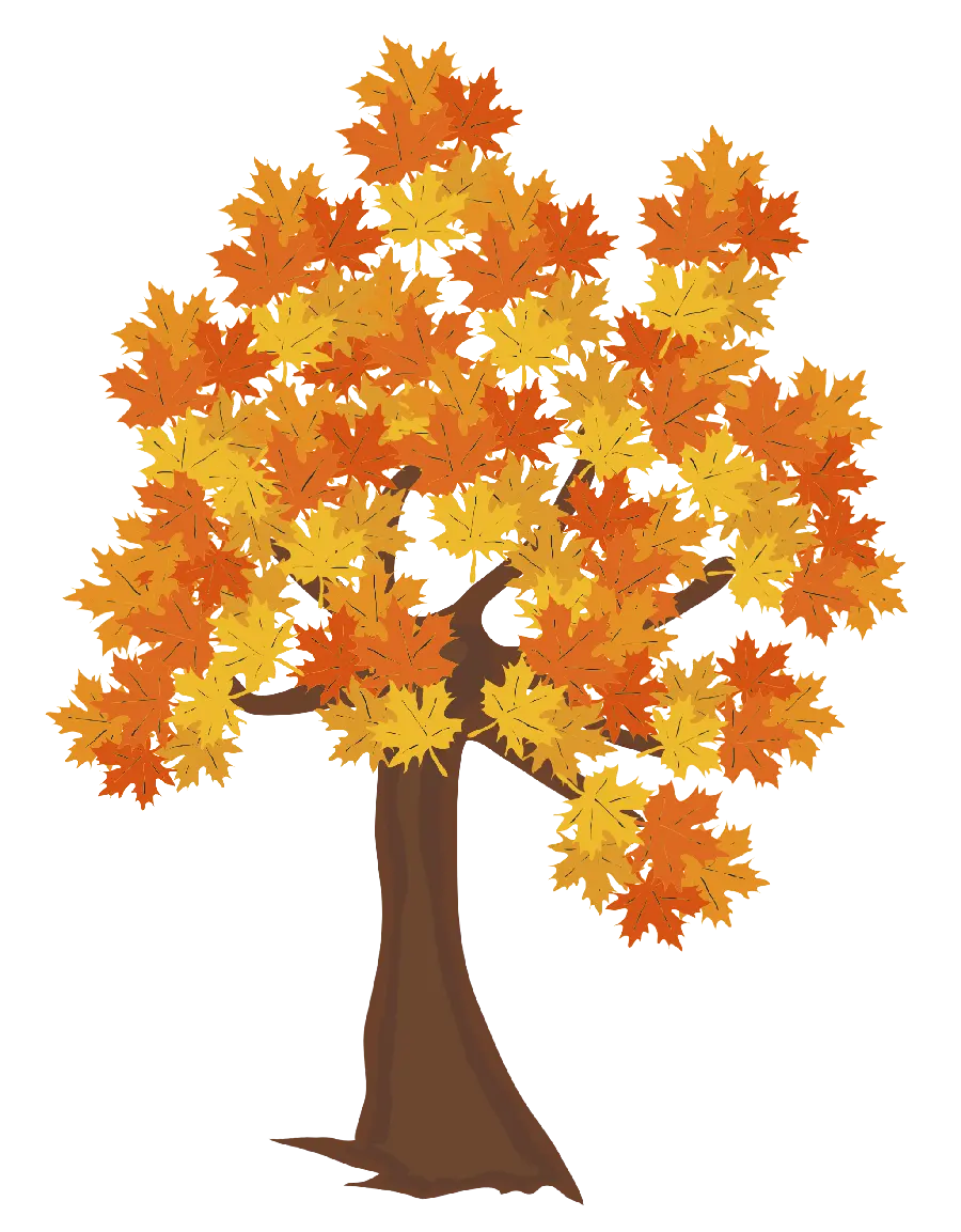 Backgroundless image with a beautiful autumn tree design for a photo