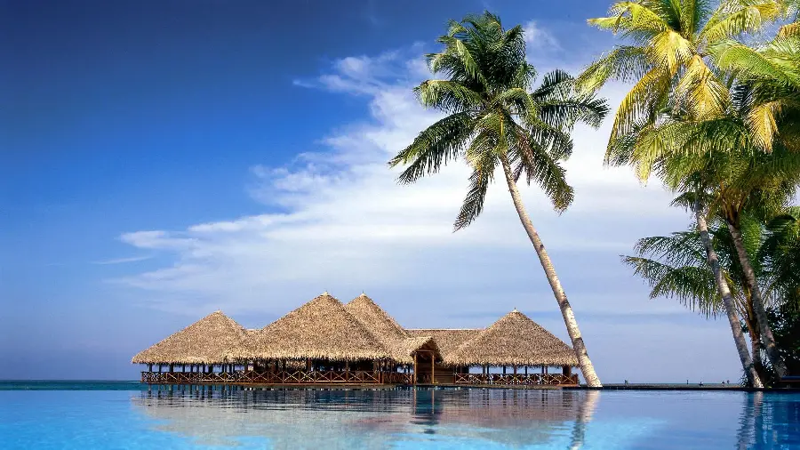 Download Famous Background Photo of Sunny Beach Villa with Tree on Water in Pure Quality