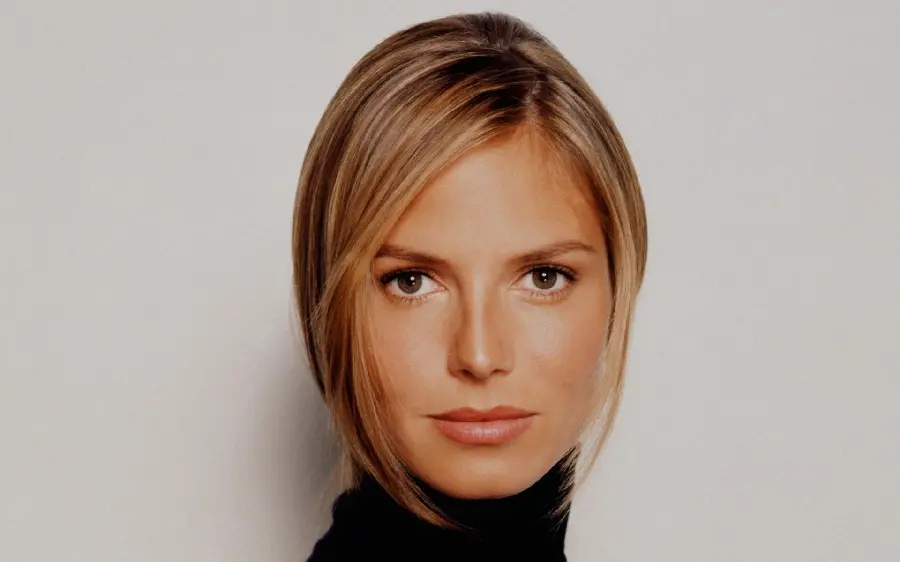 Download Heidi Klum's picture with a serious and attractive face