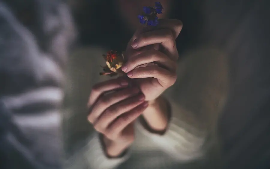 Dark and unclear background of two dried flowers in the hand