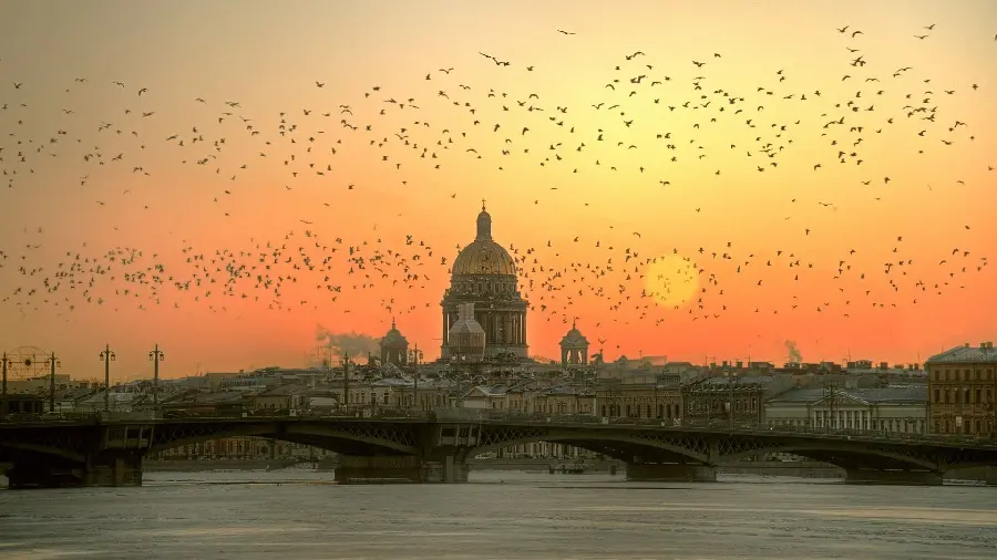 St. Petersburg sunset stock photo immersed in beauty