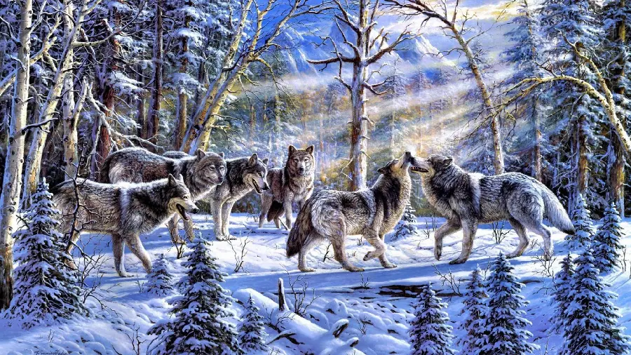 Glowing Laptop Wallpaper of Wild Wolf Pack in Winter Snow