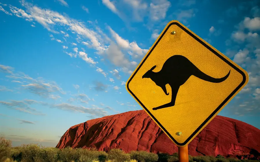 Kangaroo Crossing Traffic Sign Wallpaper