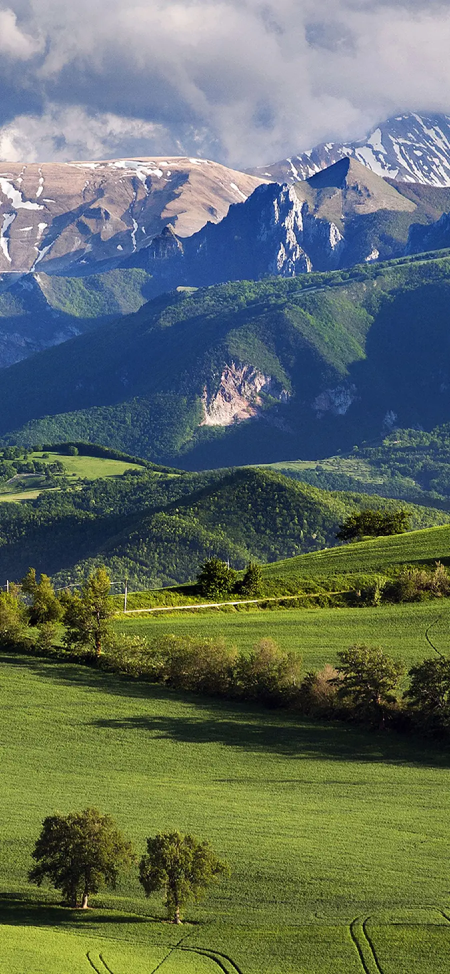The most eye-catching back Grand Nature Green Wallpaper for Android Phone 
