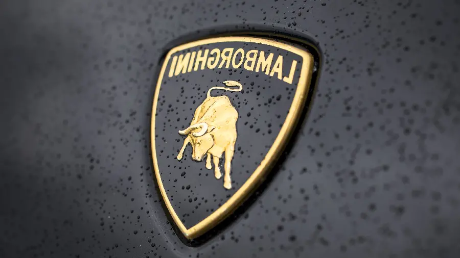 Logo profile photo and Lamborghini Luxury Car Logo