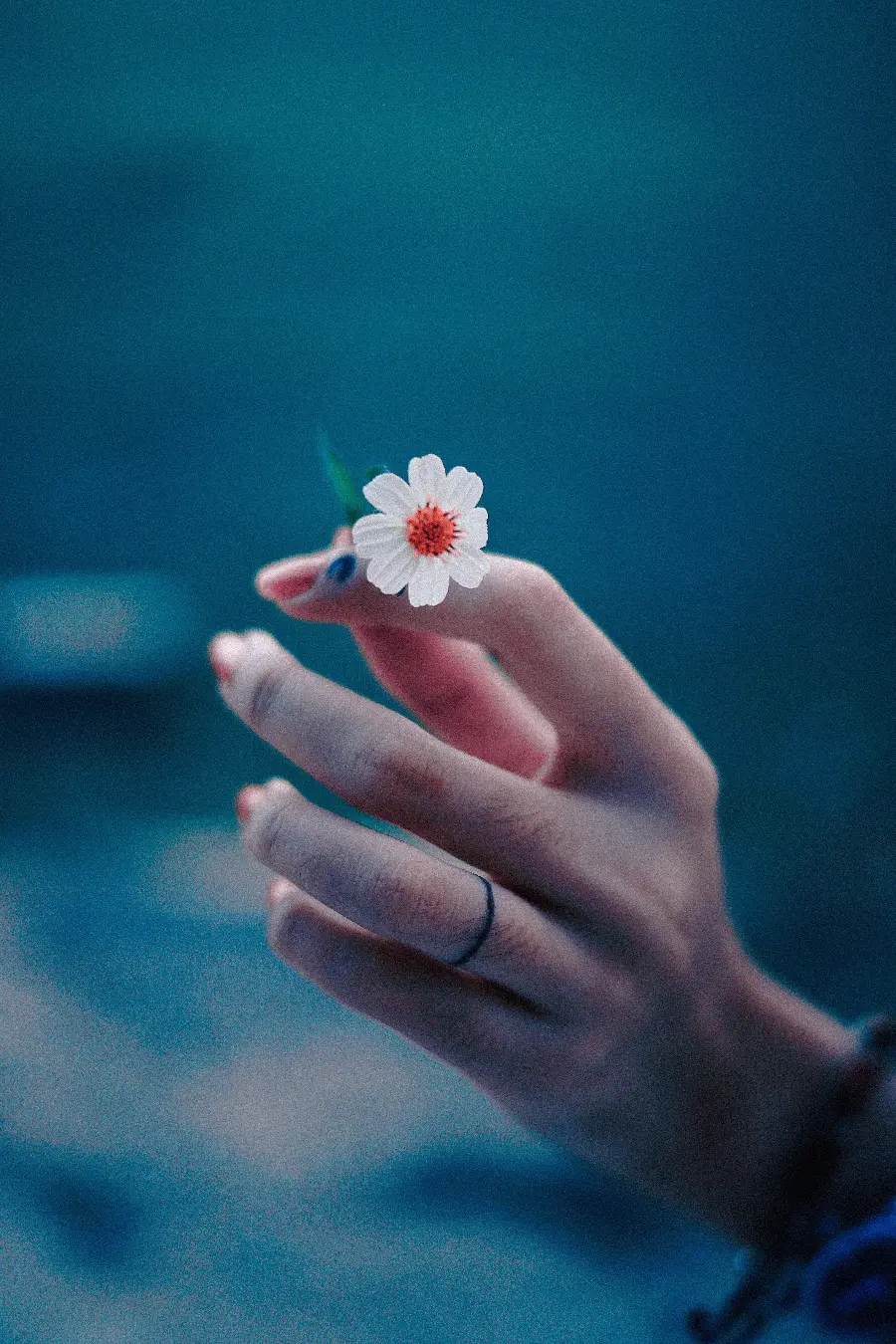Download Attractive Stock Image of White Flower in Hand