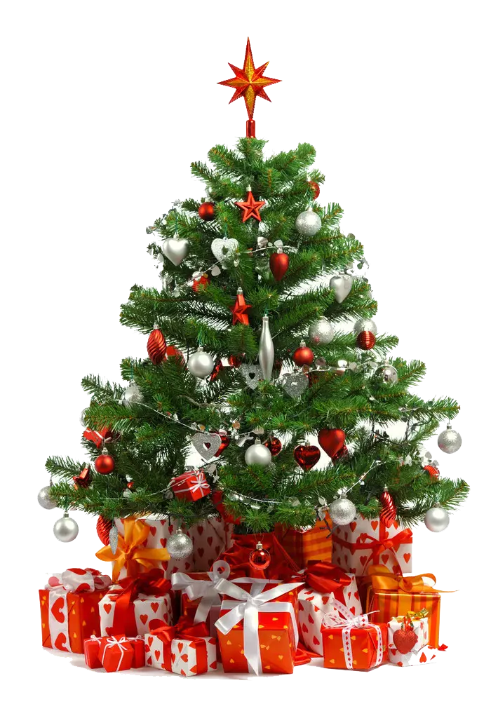 The best PNG image of a Christmas tree with 4k quality