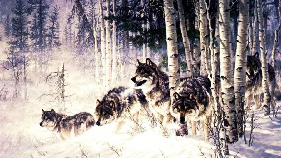The ideal computer wallpaper with a wild pack of wolves HD design