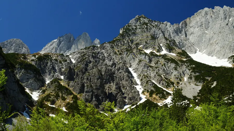 Download beautiful and new wallpaper of rugged mountains next to green plants in nature in HD quality