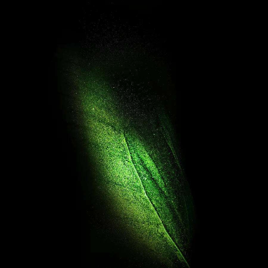 Free download of stunning green black stock photos for Samsung backgrounds