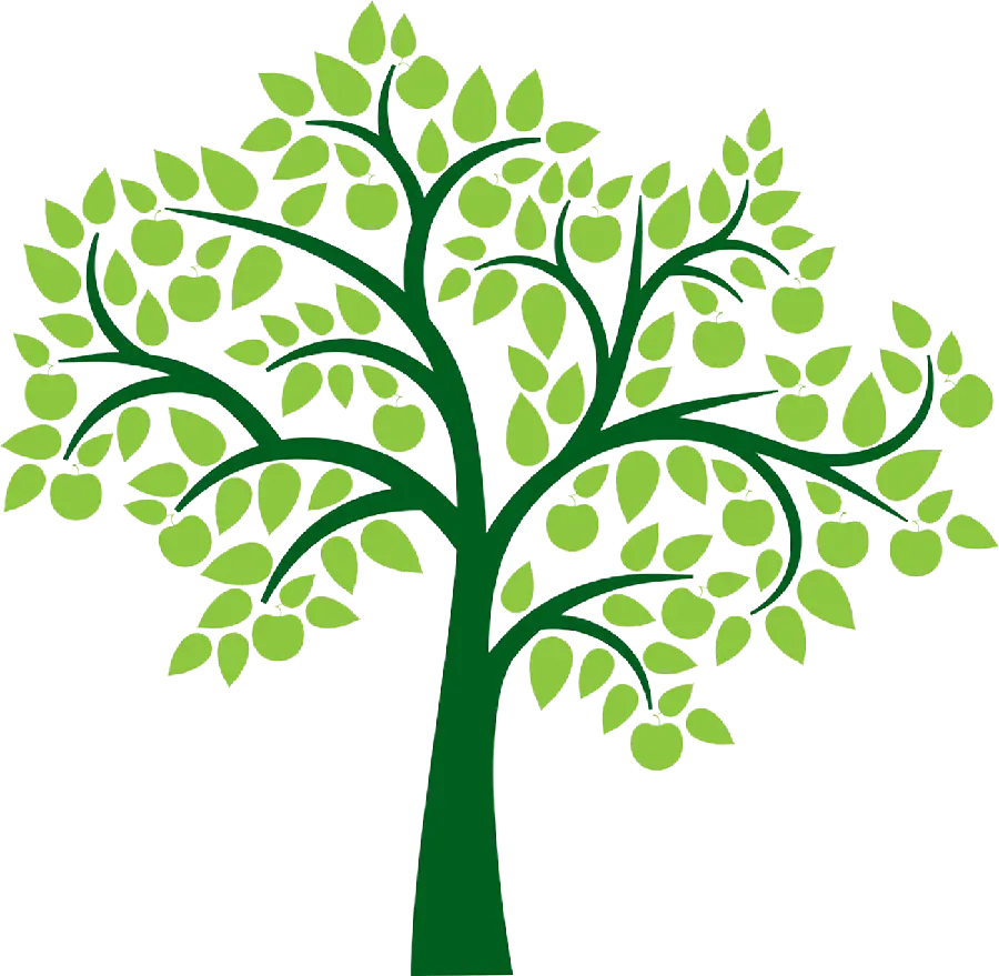 Most downloaded HD tree image